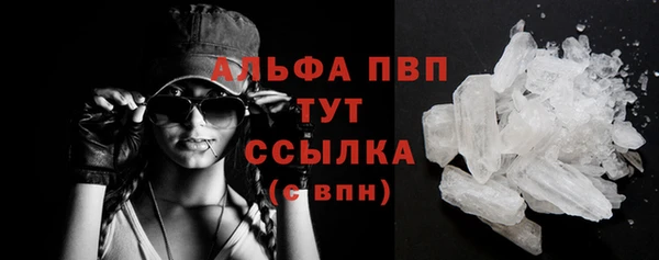 стаф Рославль